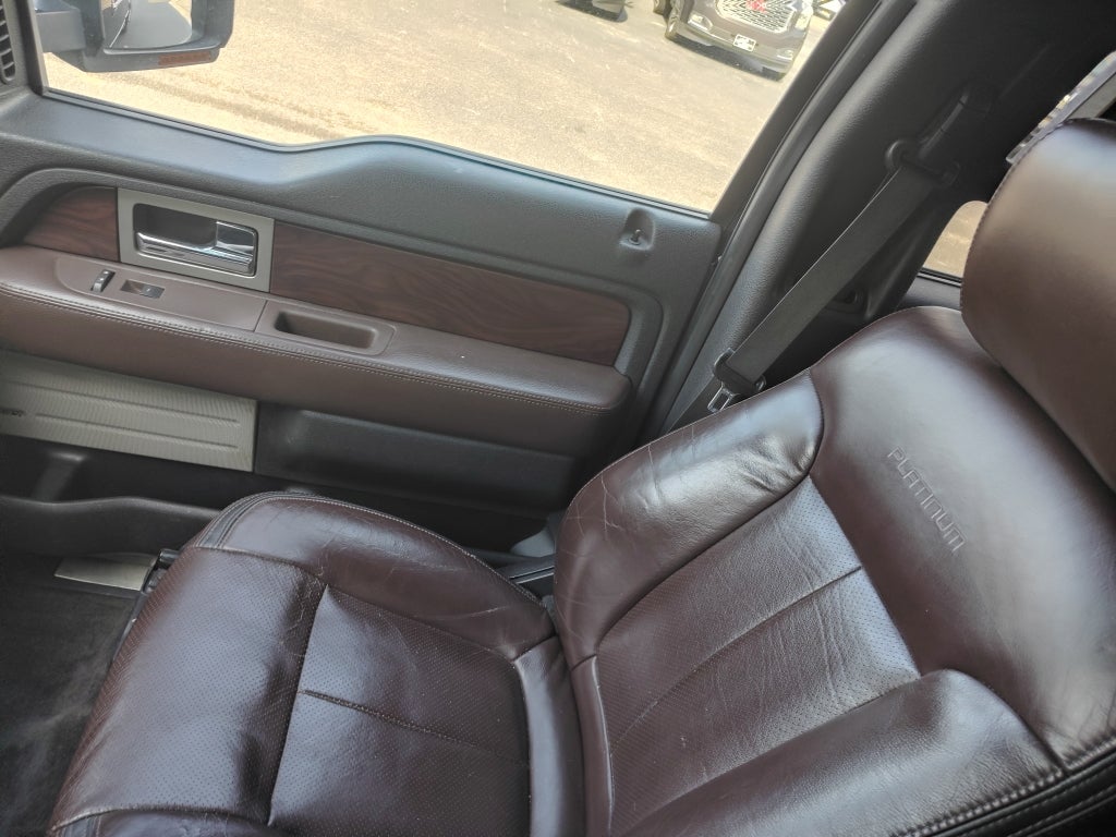 2009 Ford F-150 Platinum