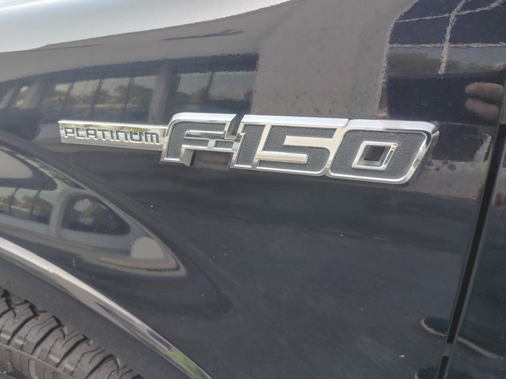 2009 Ford F-150 Platinum
